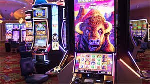 vera bet app